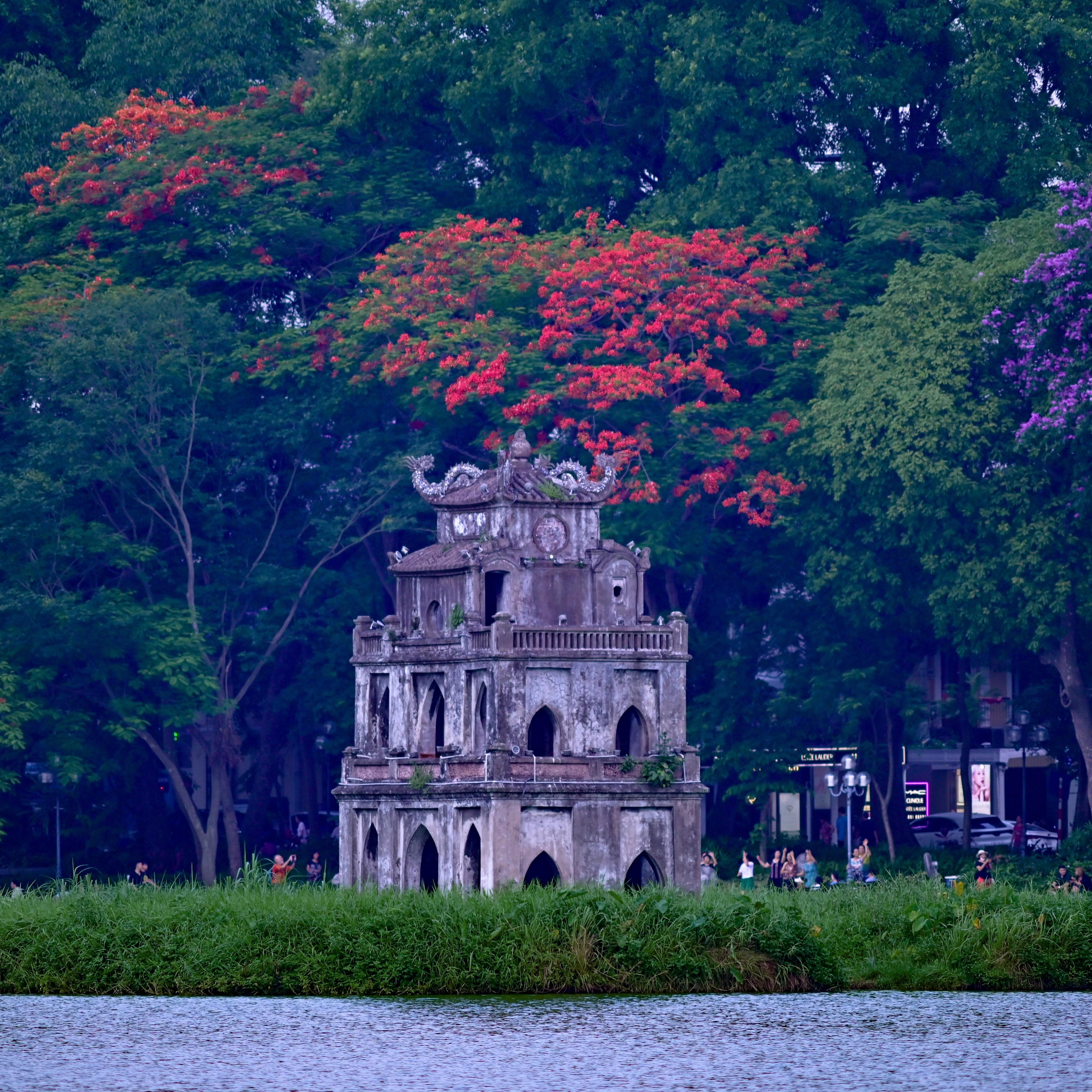 An old stone tower on a lake islet framed by trees in red blossom