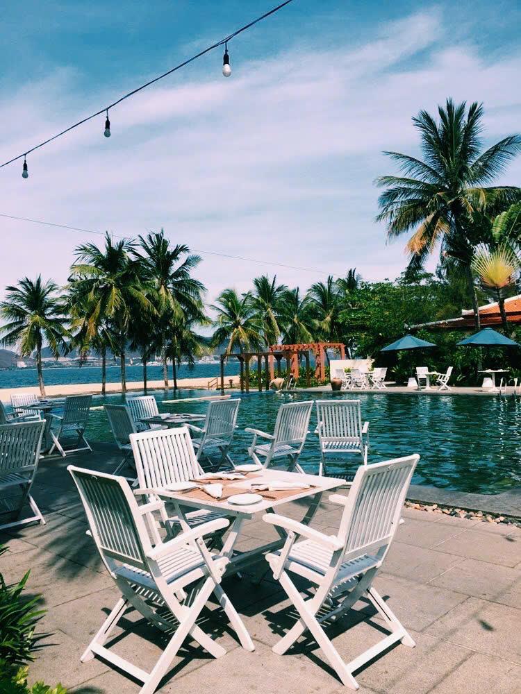 A table set beside a palm-fringed pool at a beach resort