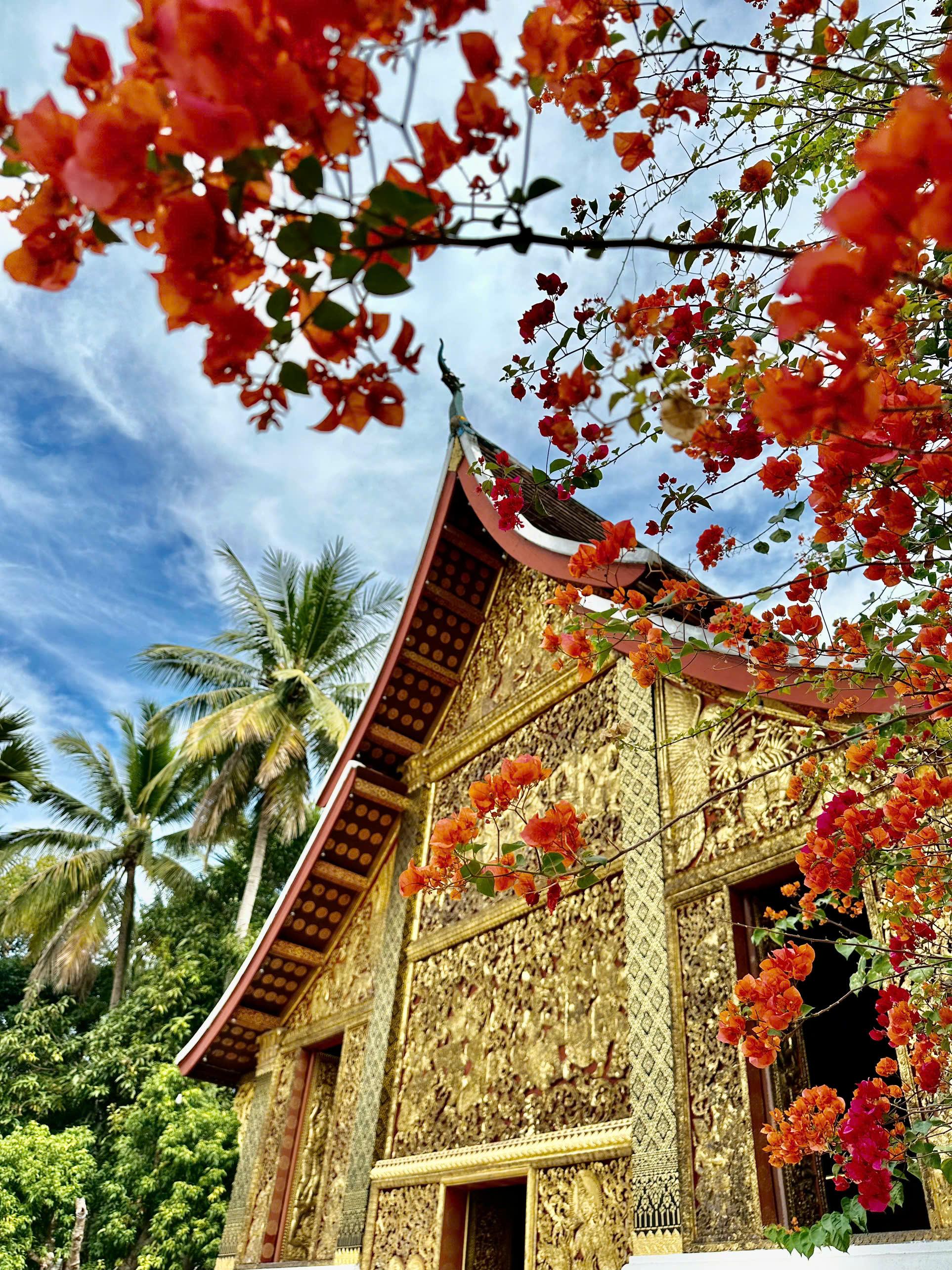 A gilded temple with a low tiered roof framed by orange bougainvillea and palm trees