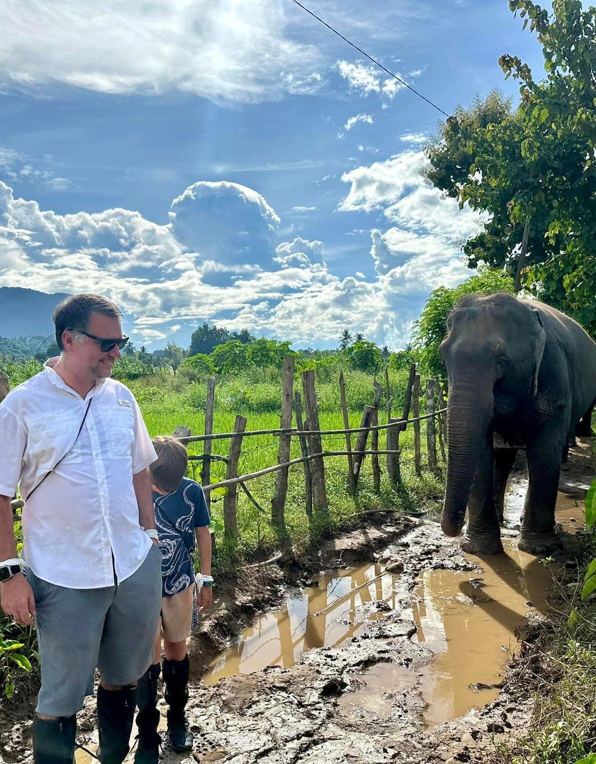 A man and a child watching an elephant beside a bamboo fence in the countryside