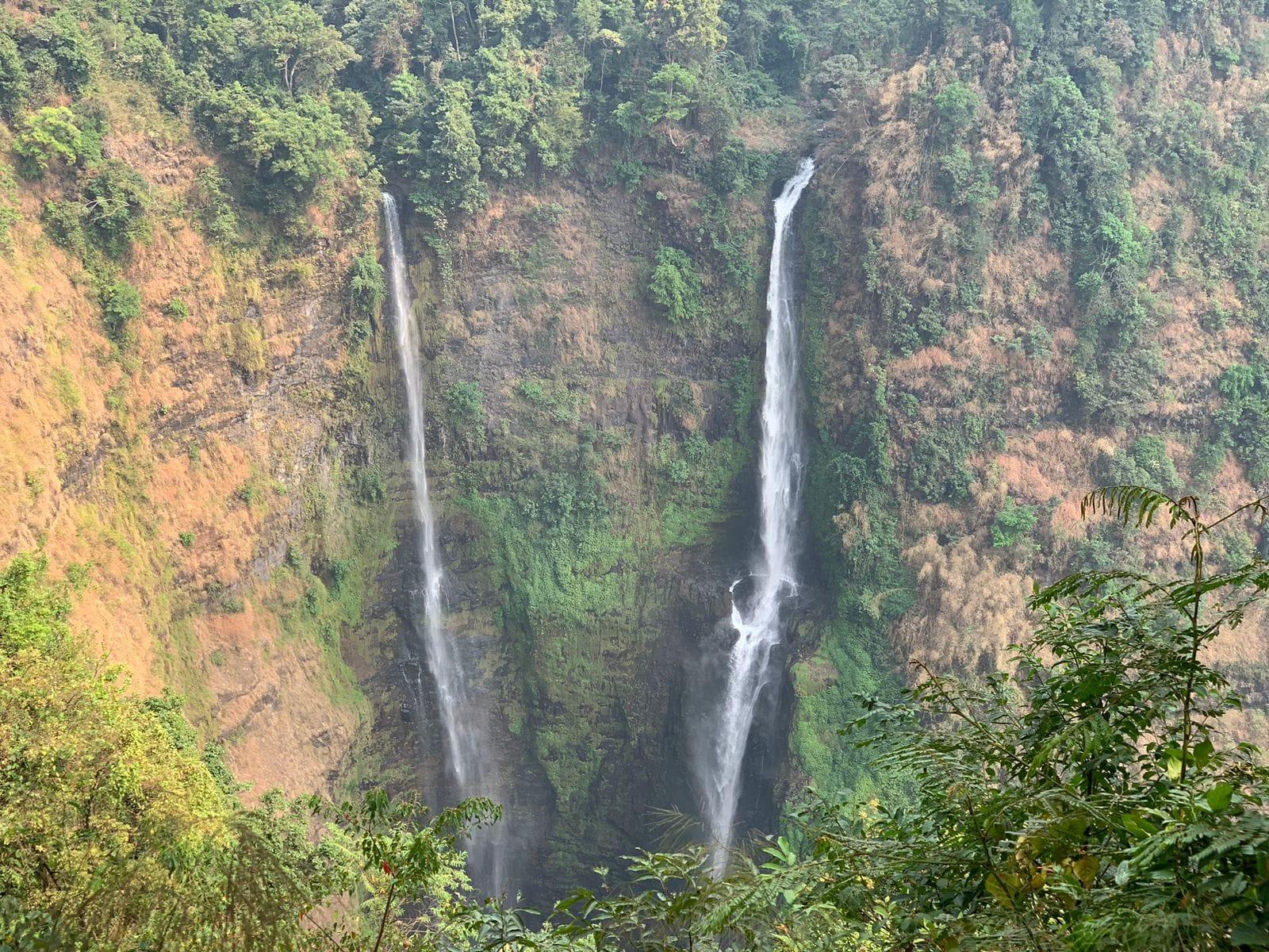 Two tall waterfalls dropping side by side into a forested gorge