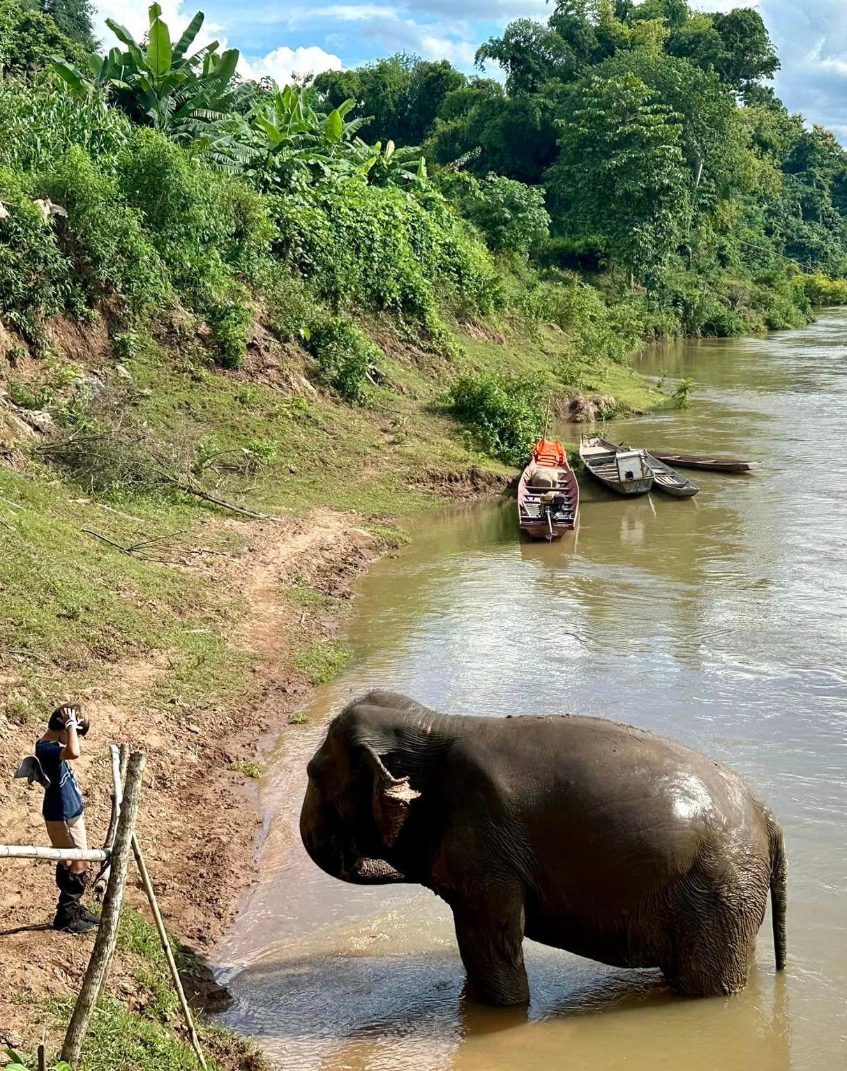 A photographer on a riverbank taking pictures of an elephant at the water
