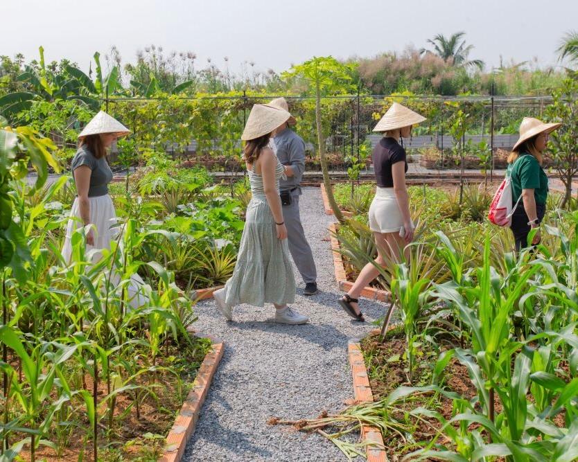 Travellers walking through a herb garden in conical hats