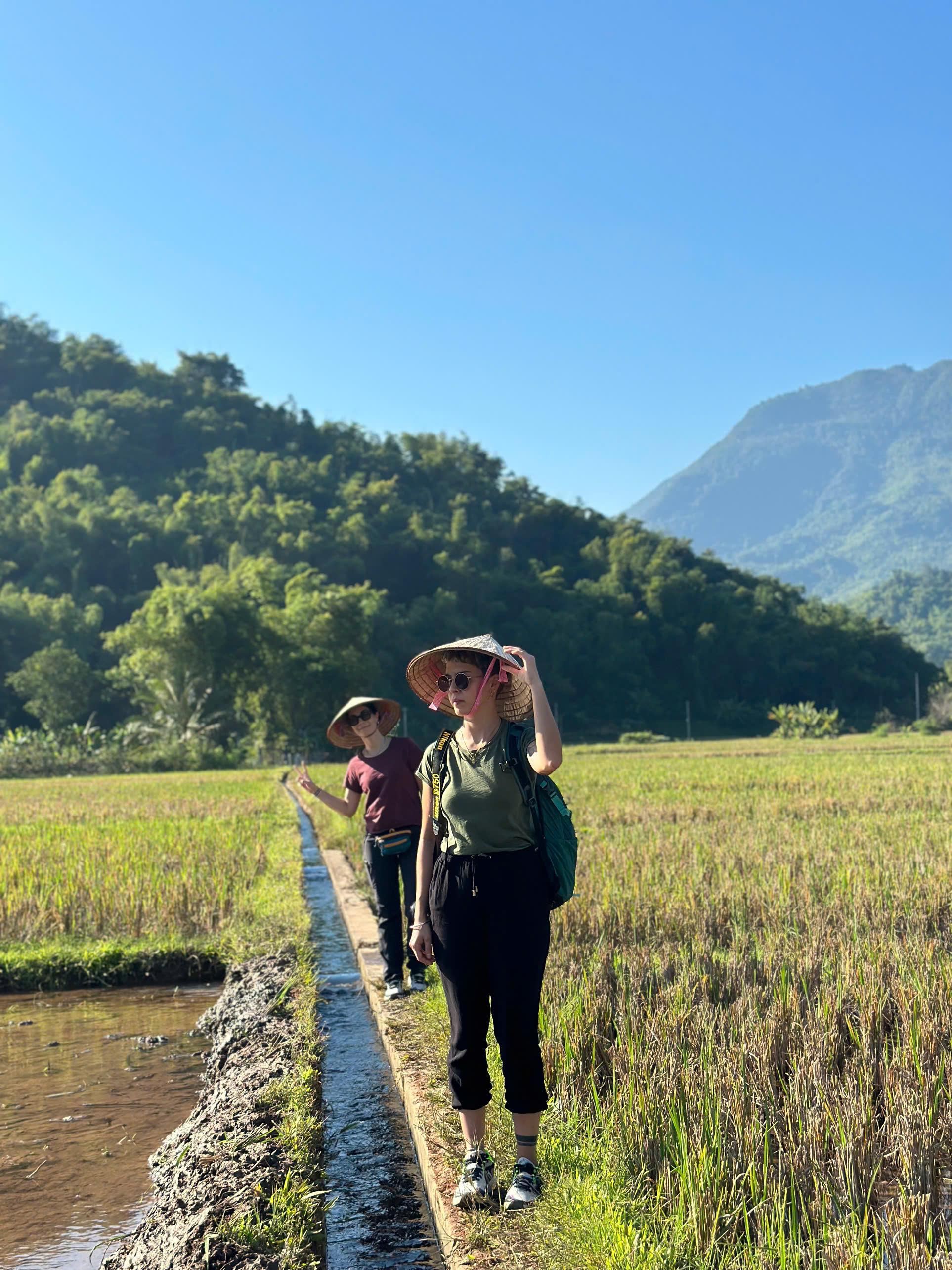 Two travellers in conical hats walking a narrow path between rice fields below forested hills