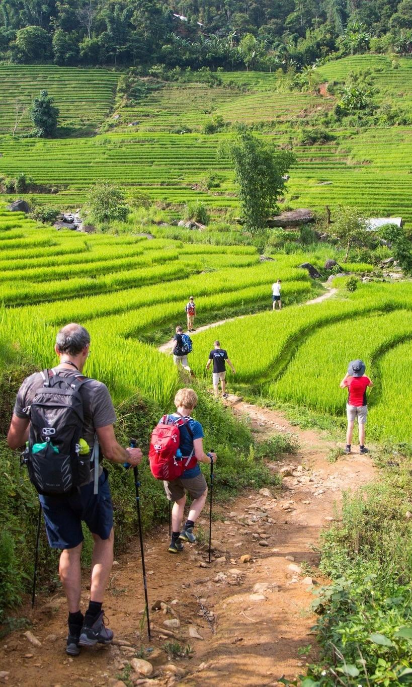 Trekkers with backpacks walking a dirt path through green terraced rice fields